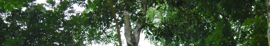 contact us header img Doc. IFCC