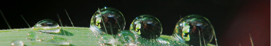 how to join header img Doc. Dones Rinaldi